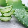 فواید استفاده از گیاه آلوئه ورا