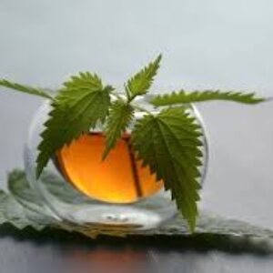 فواید چای گزنه برای سلامتی